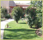 Jardin avec piscine