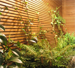 Jardin avec piscine